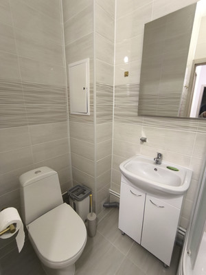 Сдам однокомнатную (1-комн.) квартиру, Арцеуловская аллея, 7к2, Санкт-Петербург г