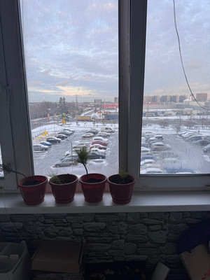 Продам двухкомнатную (2-комн.) квартиру, Новокуркинское ш, 51, Москва г