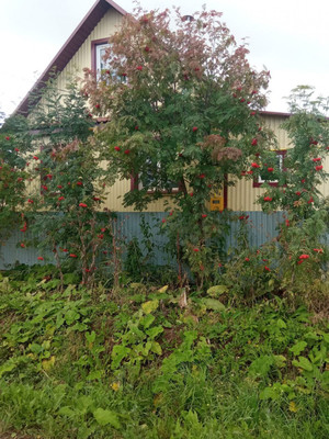 Продам дом, Ленина ул, 15, Григорьевское с, 0 км от города