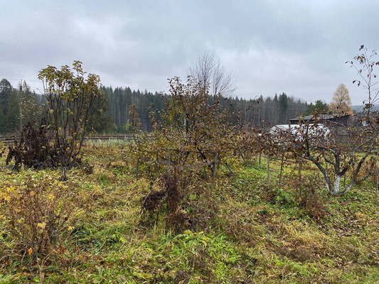 Продам дом, 16, Русаки д, 0 км от города