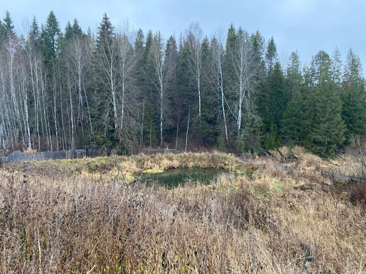 Продам дом, 16, Русаки д, 0 км от города