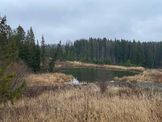 Продам дом, 16, Русаки д, 0 км от города