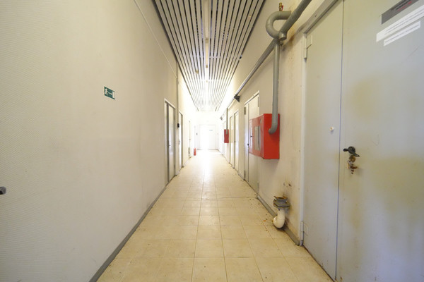 Продам коммерческое помещение 361,7 м2, ЮВ Березник зона, 1, Березник д