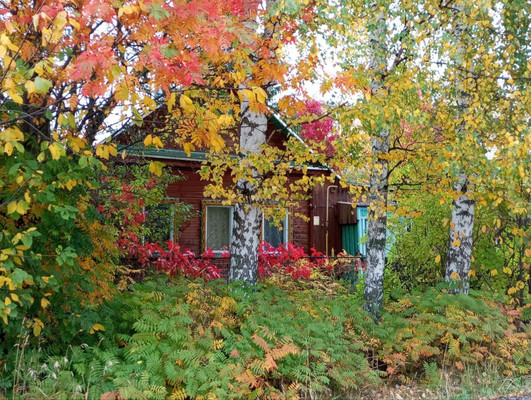 Продам дом, Банная ул, 45, Гамово с, 0 км от города