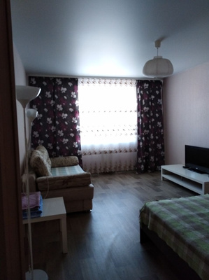 Сдам однокомнатную (1-комн.) квартиру, Энгельса пр-кт, 134к1, Санкт-Петербург г