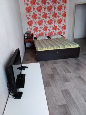 Сдам однокомнатную (1-комн.) квартиру, Энгельса пр-кт, 134к1, Санкт-Петербург г