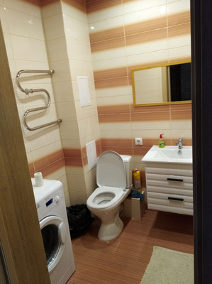 Сдам однокомнатную (1-комн.) квартиру, Энгельса пр-кт, 134к1, Санкт-Петербург г