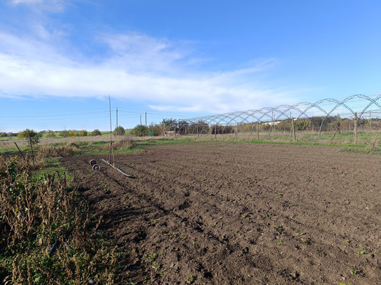 Продам участок 47 соток, ИЖС, Фонтанная ул, 47, Донское с, 0 км от города