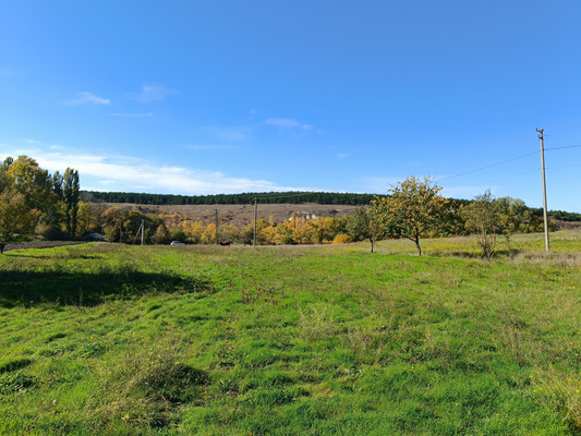 Продам участок 47 соток, ИЖС, Фонтанная ул, 47, Донское с, 0 км от города