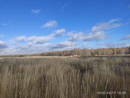 Продам участок 7 соток, ИЖС, Заря ул, Сокуры с, 0 км от города