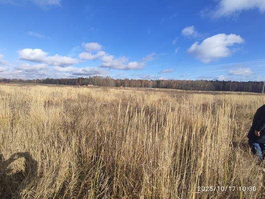 Продам участок 7 соток, ИЖС, Заря ул, Сокуры с, 0 км от города