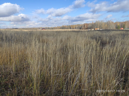 Продам участок 7 соток, ИЖС, Заря ул, Сокуры с, 0 км от города