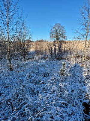 Продам участок 10,2 соток, Фермерское хоз., Бор п, 0 км от города