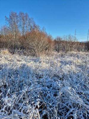 Продам участок 10,2 соток, Фермерское хоз., Бор п, 0 км от города