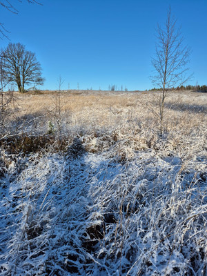 Продам участок 10,2 соток, Фермерское хоз., Бор п, 0 км от города