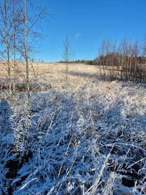 Продам участок 10,2 соток, Фермерское хоз., Бор п, 0 км от города