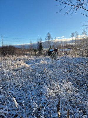 Продам участок 10,2 соток, Фермерское хоз., Бор п, 0 км от города