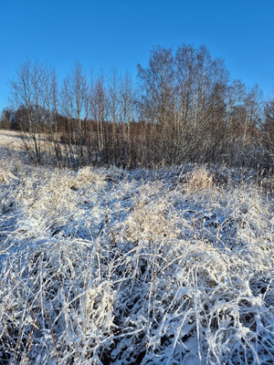 Продам участок 10,65 соток, Фермерское хоз., Бор п, 0 км от города