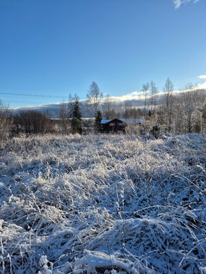 Продам участок 10,65 соток, Фермерское хоз., Бор п, 0 км от города