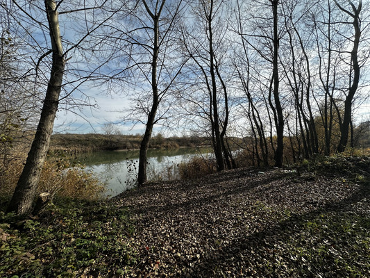 Продам участок 33 000 соток, ИЖС, Школьное с, 0 км от города