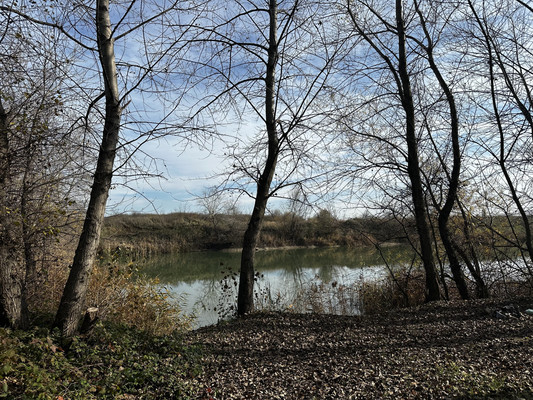 Продам участок 33 000 соток, ИЖС, Школьное с, 0 км от города