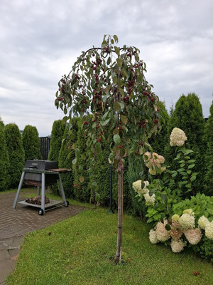 Продам таунхаус, Левитана ул, 9, Отрадное п, 0 км от города