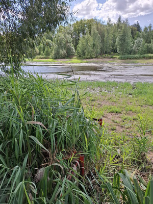 Продам дом, Сокольники ул, 8/1, Николо-Урюпино с, 0 км от города