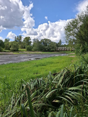 Продам дом, Сокольники ул, 8/1, Николо-Урюпино с, 0 км от города