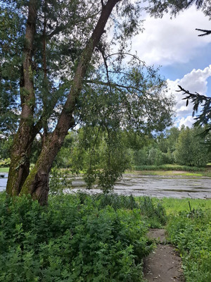 Продам дом, Сокольники ул, 8/1, Николо-Урюпино с, 0 км от города