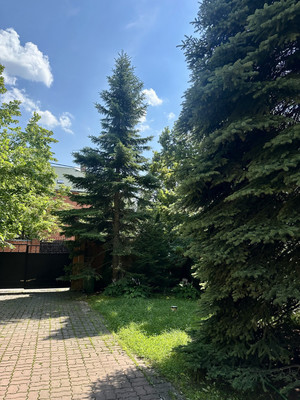 Продам дом, Ветеран тер. СНТ, 57/58, радиоцентра &amp;quot;Романцево&amp;quot; п, 0 км от города