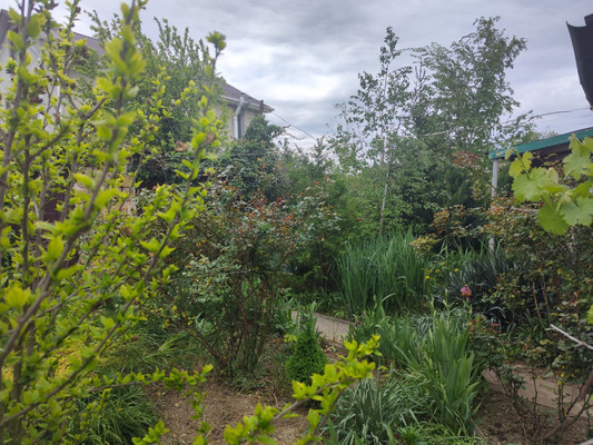 Продам дом, Салгирная ул, Гвардейское пгт, 0 км от города