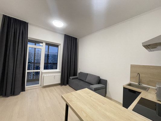 Сдам однокомнатную (1-комн.) квартиру, Ручьевский пр-кт, 20, Мурино п