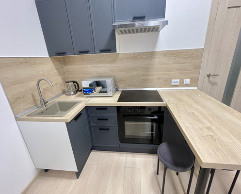 Сдам однокомнатную (1-комн.) квартиру, Ручьевский пр-кт, 20, Мурино п