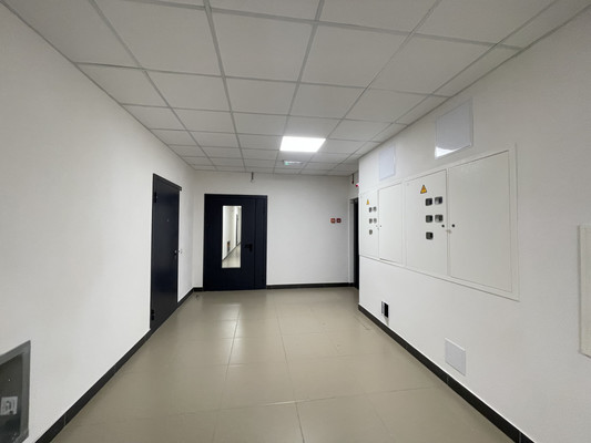 Сдам однокомнатную (1-комн.) квартиру, Ручьевский пр-кт, 20, Мурино п