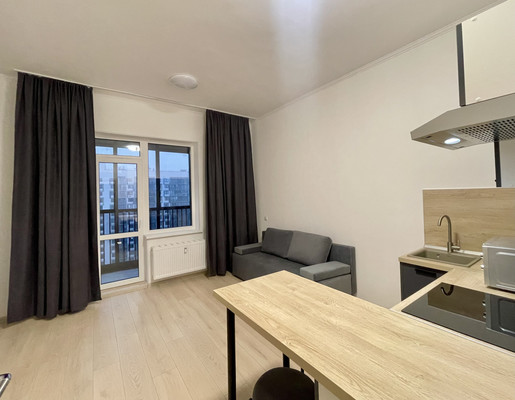 Сдам однокомнатную (1-комн.) квартиру, Ручьевский пр-кт, 20, Мурино п