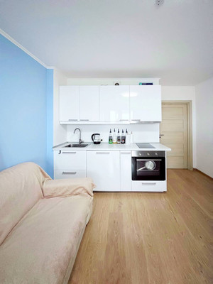 Продам однокомнатную (1-комн.) квартиру, Энергетиков пр-кт, 9к3, Санкт-Петербург г