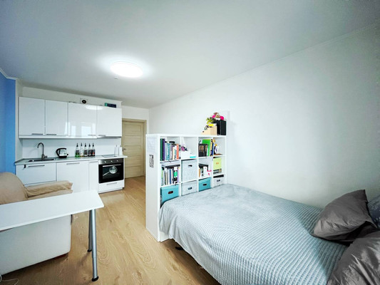 Продам однокомнатную (1-комн.) квартиру, Энергетиков пр-кт, 9к3, Санкт-Петербург г