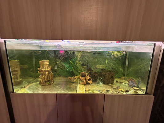 Продам дом, Благополучная ул, 36к30, Ростов-на-Дону г, 0 км от города