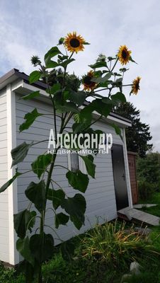 Продам участок 24 соток, ЛПХ, Ямская ул, Судаково п, 0 км от города