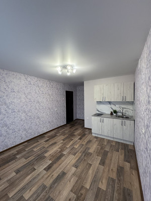 Продам однокомнатную (1-комн.) квартиру, Мончегорская ул, 11Ак3, Нижний Новгород г