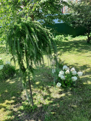 Продам дом, Гурьева ул, 47, Калининград г, 0 км от города