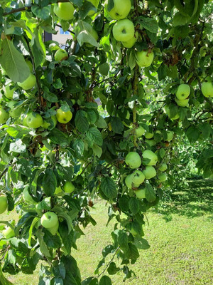 Продам дом, Гурьева ул, 47, Калининград г, 0 км от города