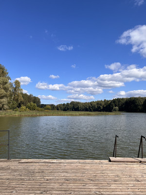 Продам коттедж, ДНП Большая вода тер, 12, Лыщёво д, 0 км от города