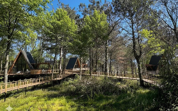 Продам участок 180 соток, ИЖС, Юг снт, 26а, Сочи г, 0 км от города