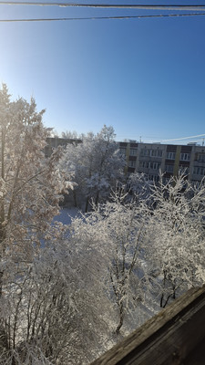 Продам однокомнатную (1-комн.) квартиру, 23, Горбунки д