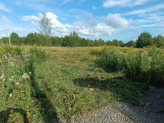 Продам участок 9 соток, Фермерское хоз., Восточная аллея, Новое Заостровье тер. СНТ, 0 км от города