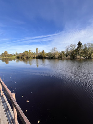 Продам участок 12,5 соток, Садоводство, 2А, Никольское д, 0 км от города