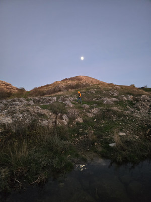 Продам участок 13,1 соток, ИЖС, Луговая ул, Дружное с, 0 км от города