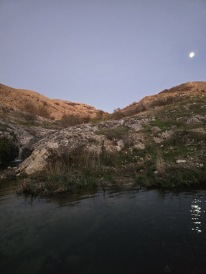 Продам участок 13,1 соток, ИЖС, Луговая ул, Дружное с, 0 км от города