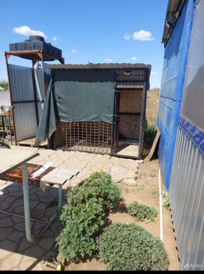 Продам участок 6 соток, ИЖС, Сенная ул, 33, Волгодонск г, 0 км от города